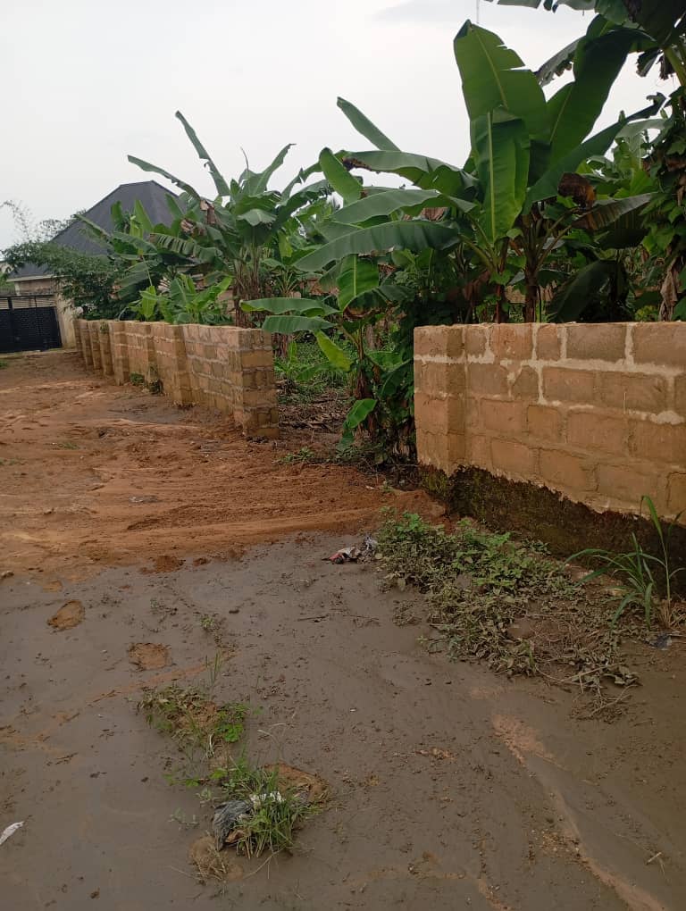 WhatsApp Image 2025-11-17 at 4.42.02 PM (3)