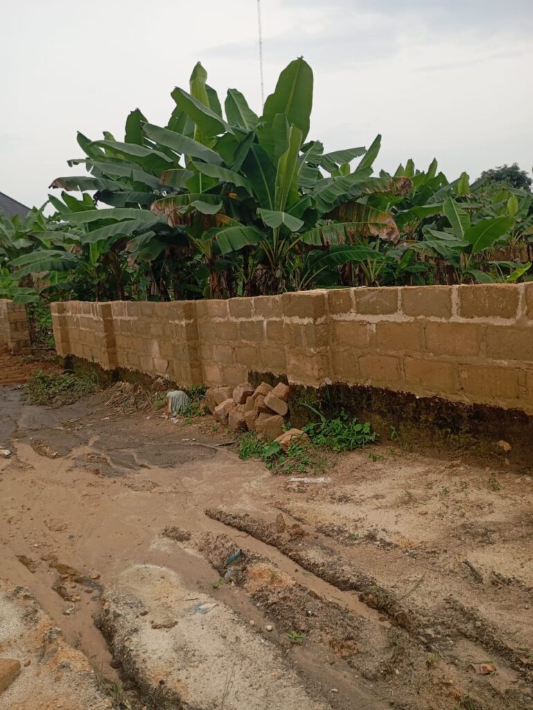 WhatsApp Image 2025-11-17 at 4.42.02 PM (5)