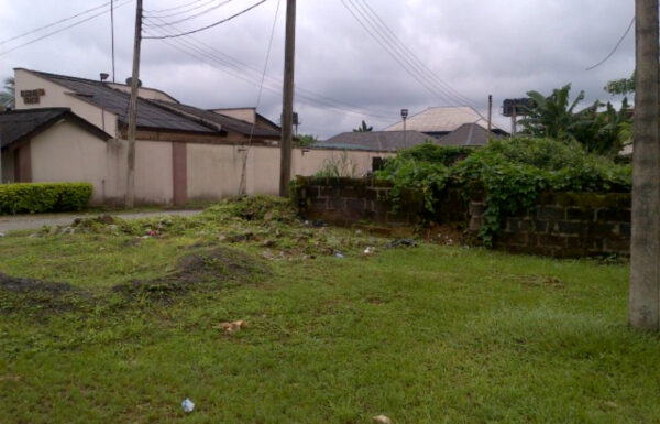 2__FillWzEyMDAsODAwXQ._view_2