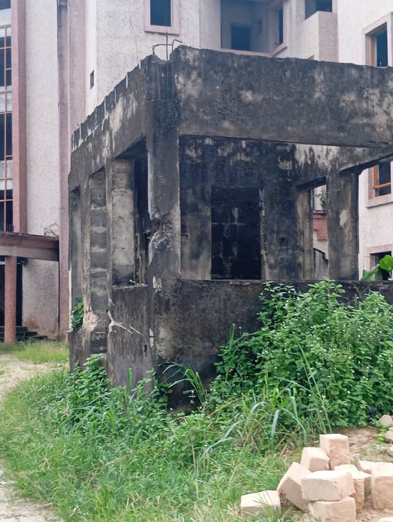 IMAGE 2026-01-14 11:16:11