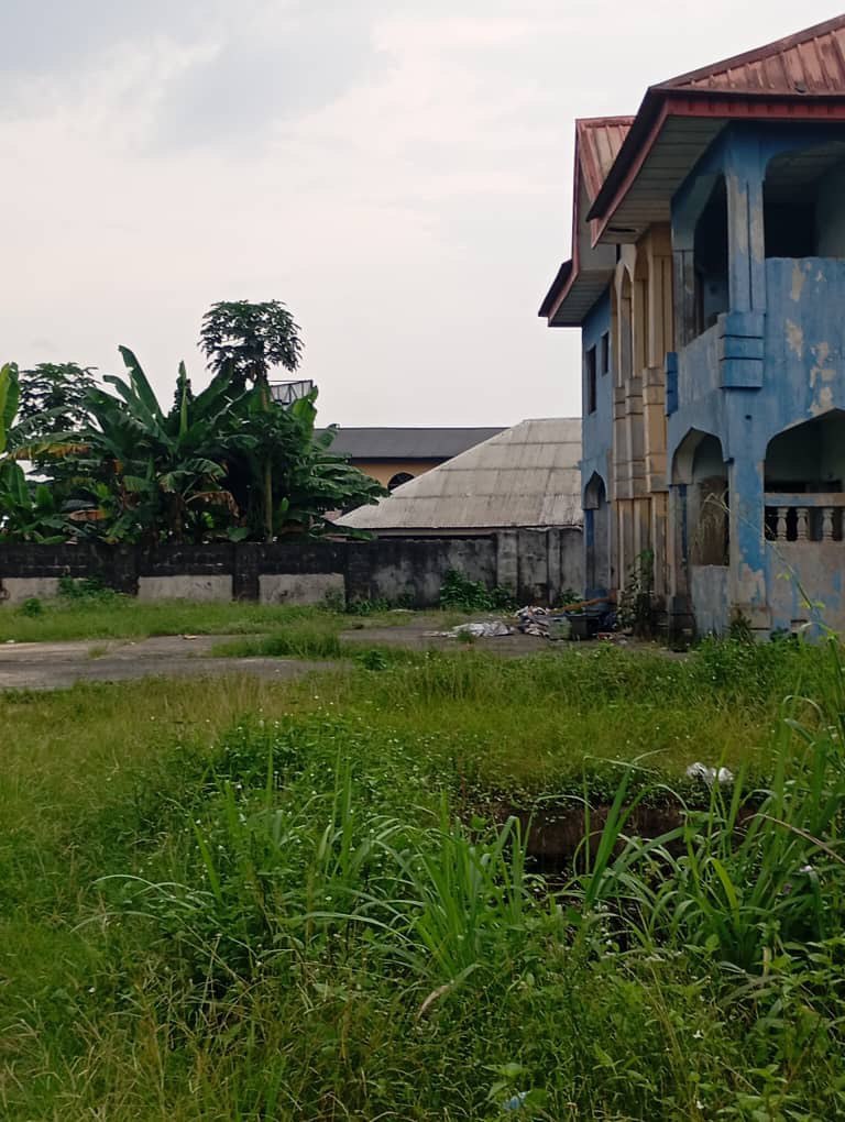 IMAGE 2026-01-14 11:16:15