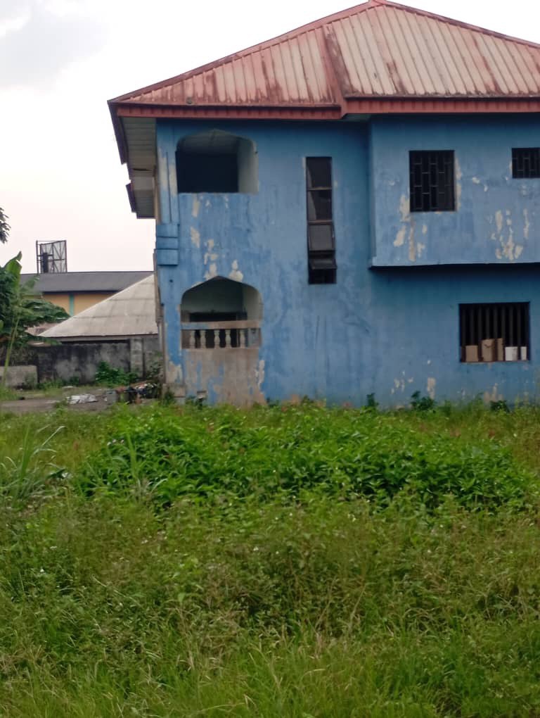 IMAGE 2026-01-14 11:16:16