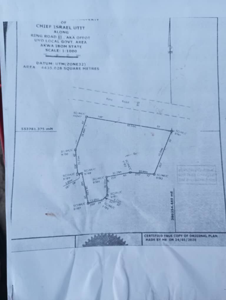 IMAGE 2026-01-14 11:28:20